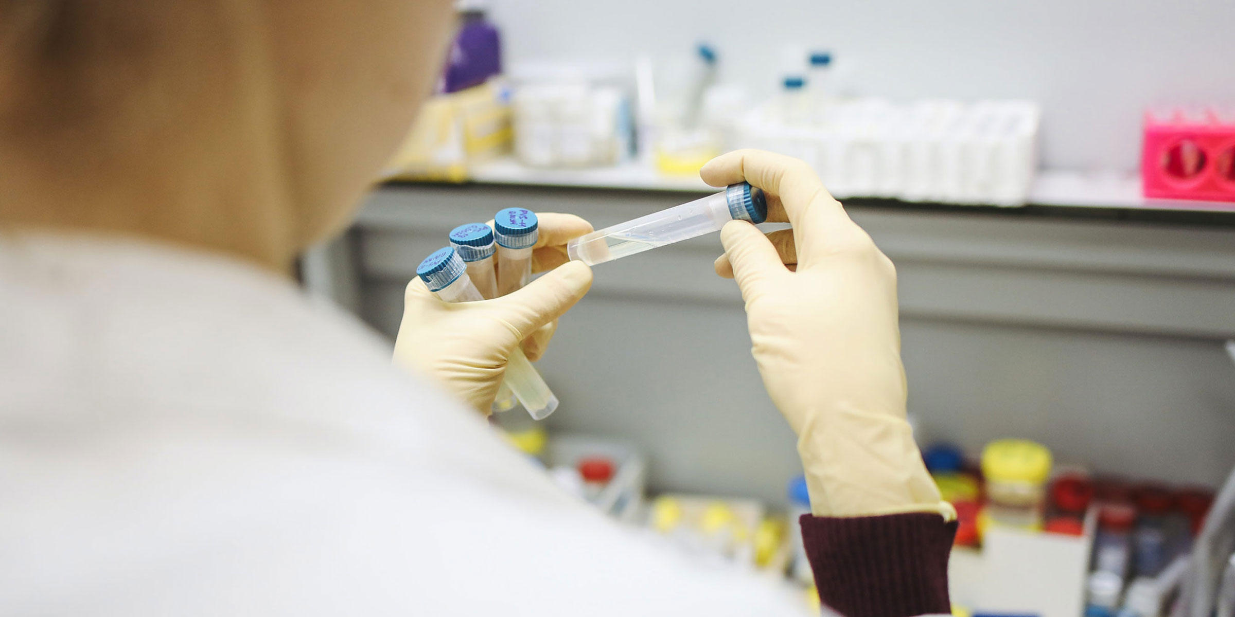 IBR Testing Laboratories Animal Health Ireland